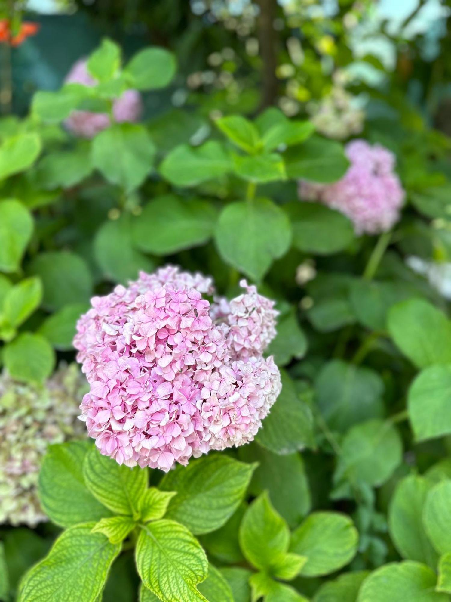 Flower'S Home Orikum Εξωτερικό φωτογραφία